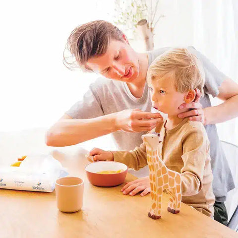 Lingettes épaisses H2O Biolane - Blossom Care