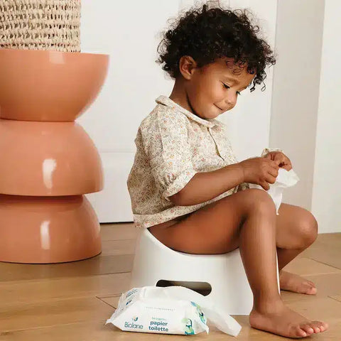 Lingettes papier toilette x54 Biolane - Blossom Care