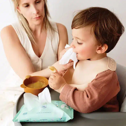 Lingettes à l'eau certifiées BIO Biolane x54 - Blossom Care