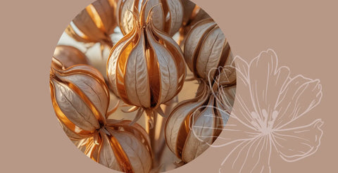 Baby blues ou dépression post-partum : reconnaître les vraies différences