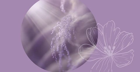 SPM et compléments alimentaires : ce que dit l'EFSA pour accompagner le cycle